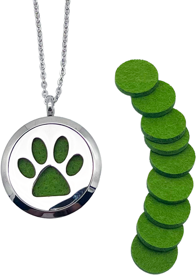 Chat noir necklace store